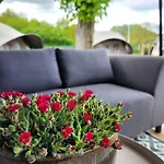 Glampinglodge 2 Pers Met Prive Hottub منتزه العطل *