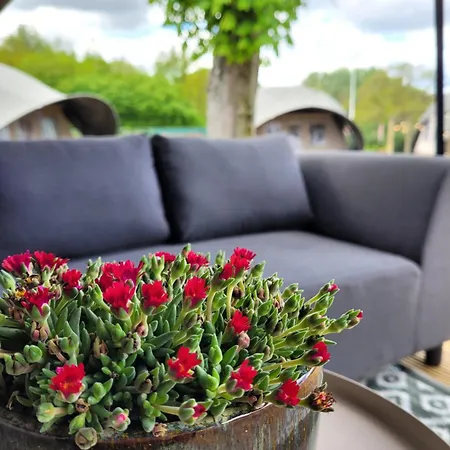 Glampinglodge 2 Pers Met Prive Hottub Kompleks wypoczynkowy *