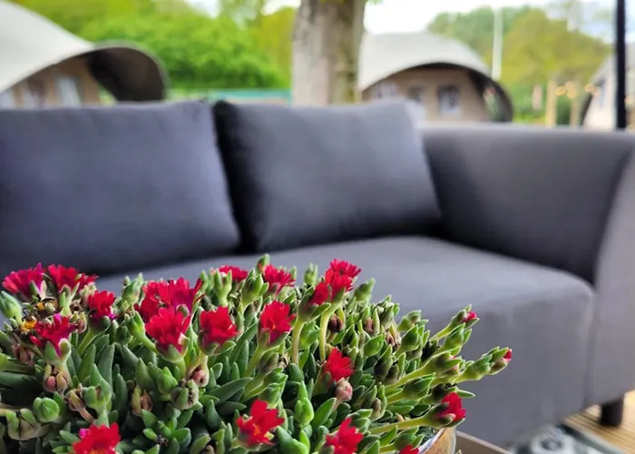 Glampinglodge 2 Pers Met Prive Hottub Ferienpark *