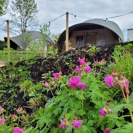 Glampinglodge 2 Pers Met Prive Hottub *